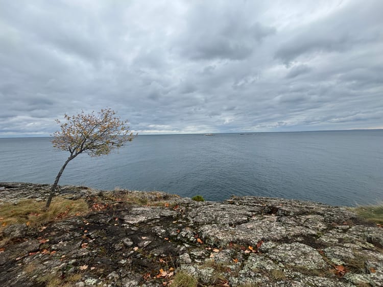 Fall is for Brooding