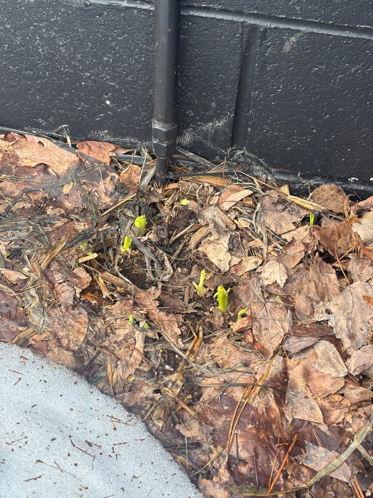 You Cannot Love in Moderation